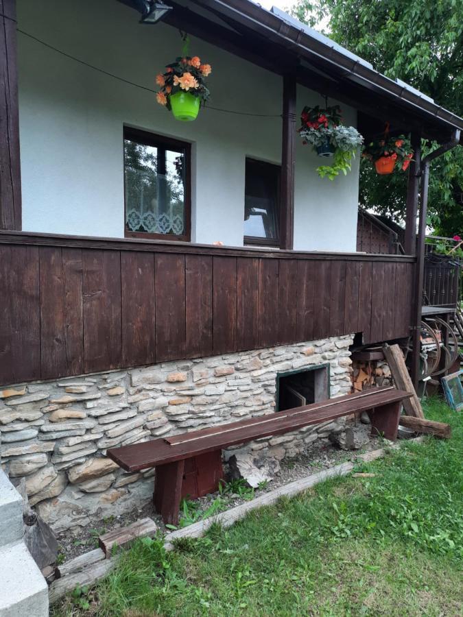 Casa Bunicilor Villa Ciprian Porumbescu Exterior photo